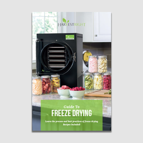 Guide to Freeze Drying