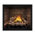 Napoleon 36” Elevation Direct Vent Fireplace E36NTE - Image 5