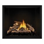 Napoleon 36” Elevation Direct Vent Fireplace E36NTE - Image 3